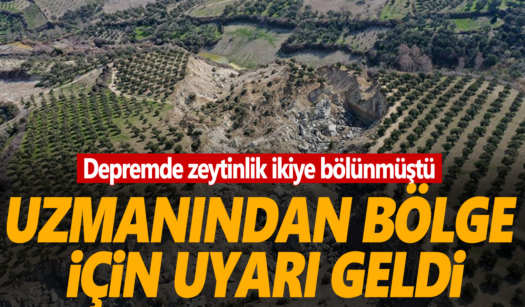 Hatay Da Depremde Ikiye B L Nen Zeytinli In Bulundu U B Lge I In