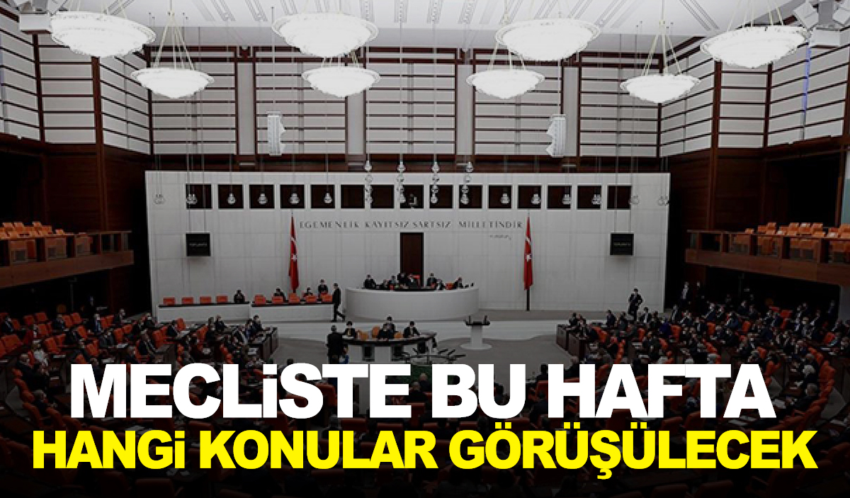 TBMMde bu hafta hangi konular görüşülecek Manisa Kulis Haber Son