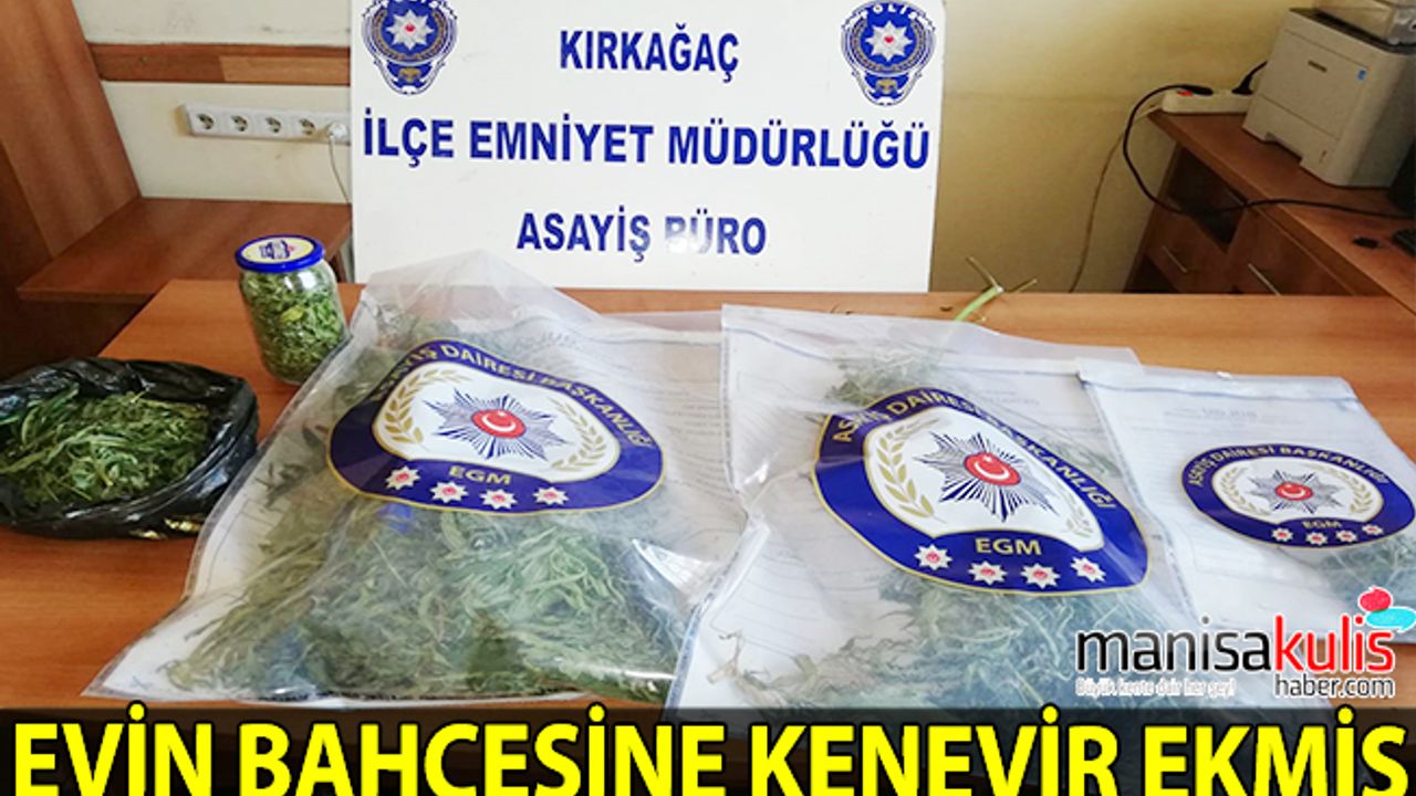 Manisa'da uyuşturucu operasyonu: 1 gözaltı