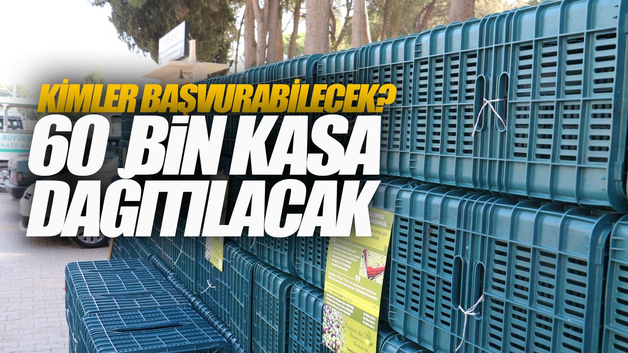 Manisa Büyükşehir, 60 bin adet zeytin kasası dağıtacak