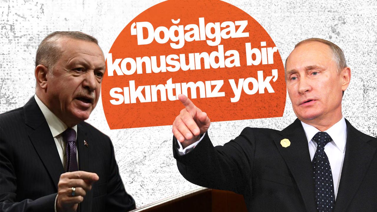 Cumhurbaşkanı Erdoğan'dan doğalgaz açıklaması