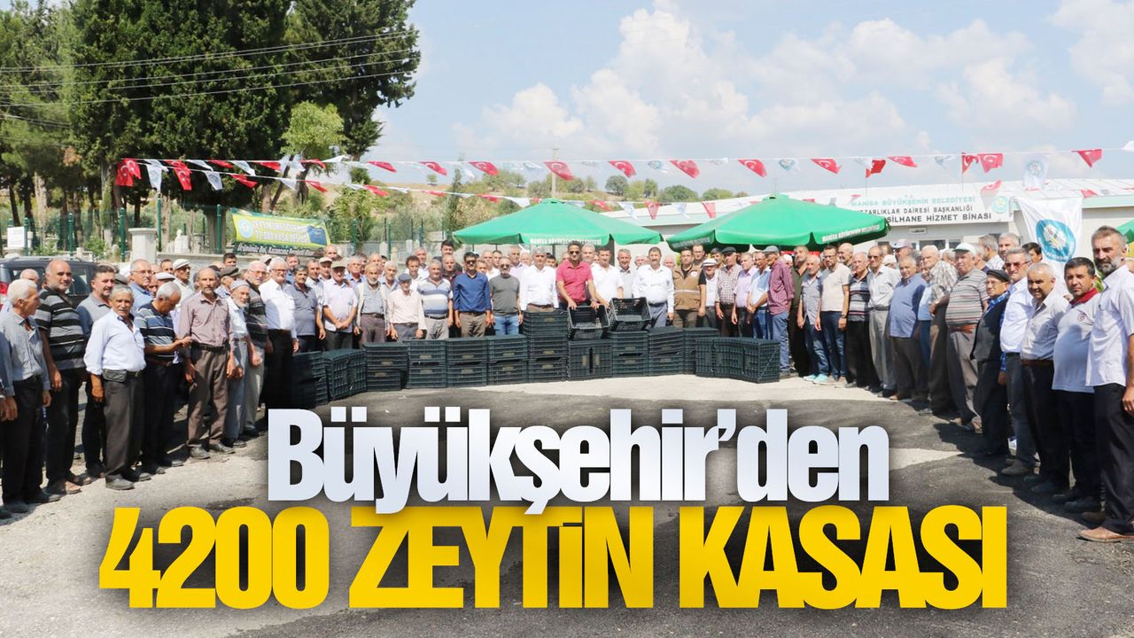 Demircili zeytin üreticisine Büyükşehir’den 4200 zeytin kasası