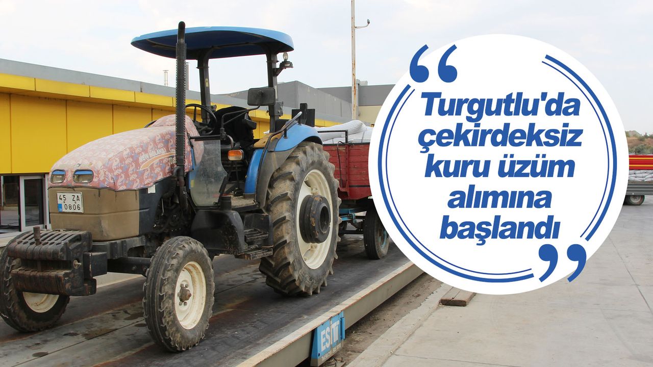 TMO, Turgutlu'da çekirdeksiz kuru üzüm alımına başladı