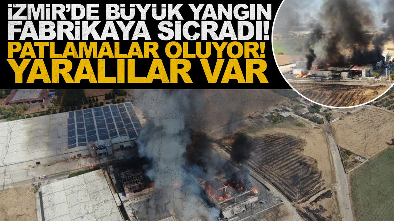 İzmir'de kozmetik fabrikasında büyük yangın