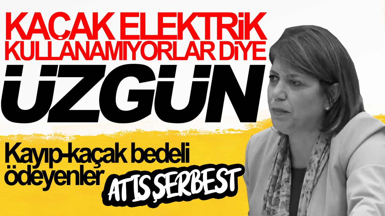 HDP'li isim kaçak elektrik kullanan mahalleyi savundu