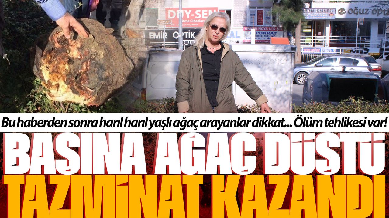 İzmir'de başına ağaç düşen kadın tazminat kazandı