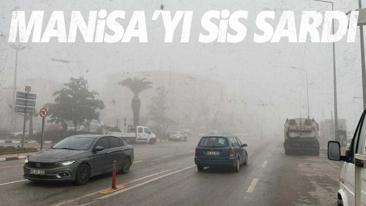 Manisa'da yoğun sis etkili oldu