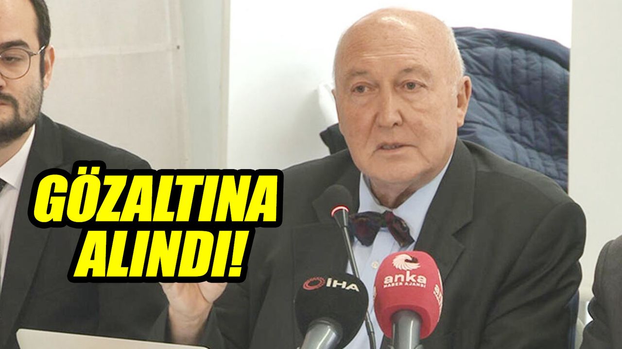 Jeofizik profesörü Övgün Ahmet Ercan gözaltına alındı!