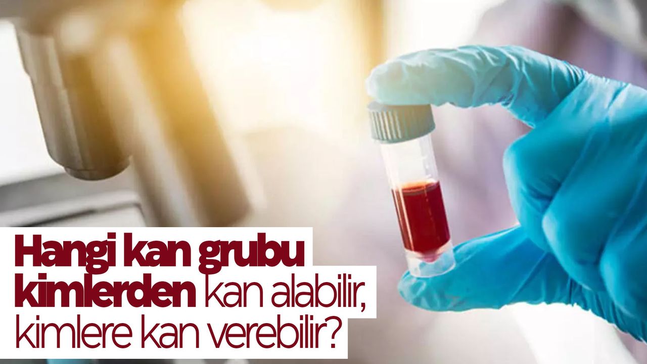 Hangi kan grubu kime kan verip kimlerden kan alabilir?