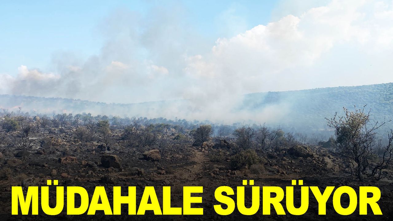 İzmir’de makilik alanda yangın... Ekipler müdahale ediyor