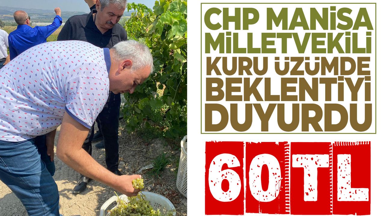Bakırlıoğlu: Kuru üzüm üreticisi 60 lira fiyat bekliyor