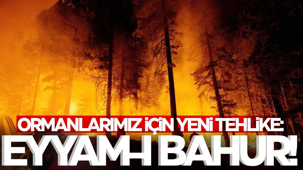 Ormanlarımız için yeni tehlike: Eyyam-ı Bahur