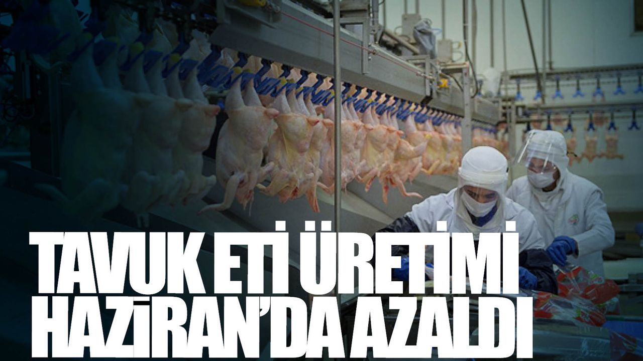 Tavuk eti üretimi Haziran’da azaldı