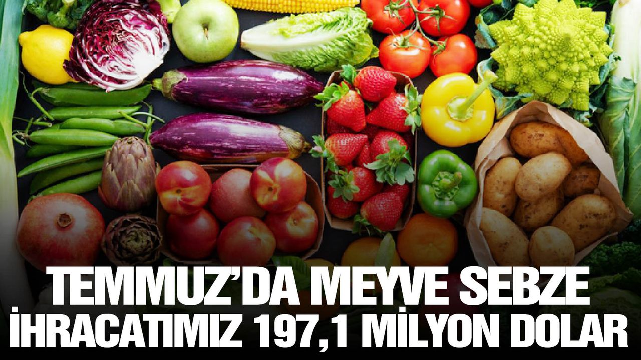 Temmuz’da meyve sebze ihracatımız 197,1 milyon dolar