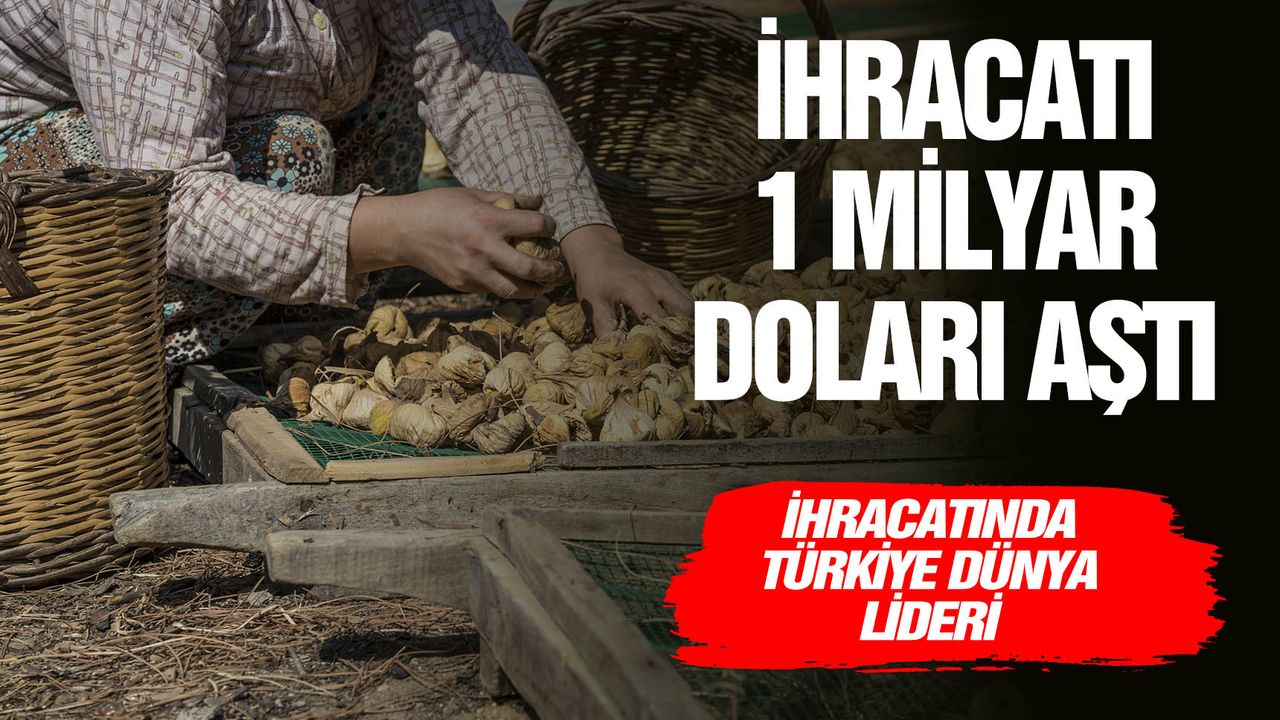 Türkiye’nin dünya lideri olduğu kuru incir, kuru üzüm ve kuru kayısı ihracatı 1 milyar doları aştı
