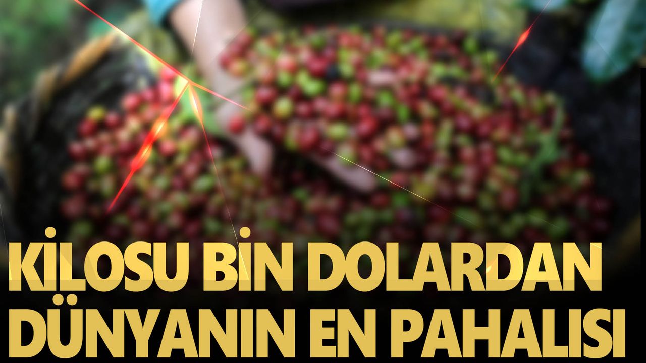 Her gün tüketiyoruz! bugün onun günü