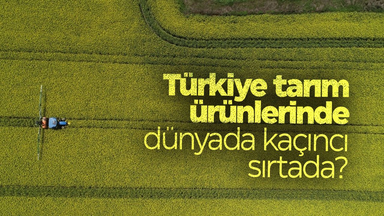 Türkiye tarım ürünü üretiminde kaçıncı sırada?