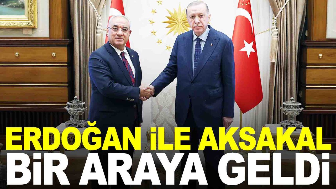 Cumhurbaşkanı Erdoğan, DSP genel başkanını kabul etti