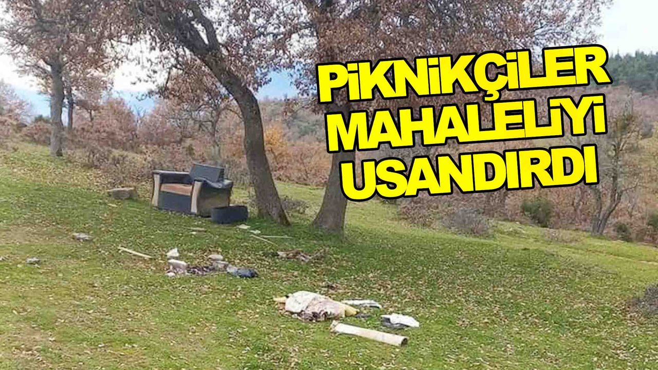 Manisa’da piknikçiler mahalleliyi usandırdı!