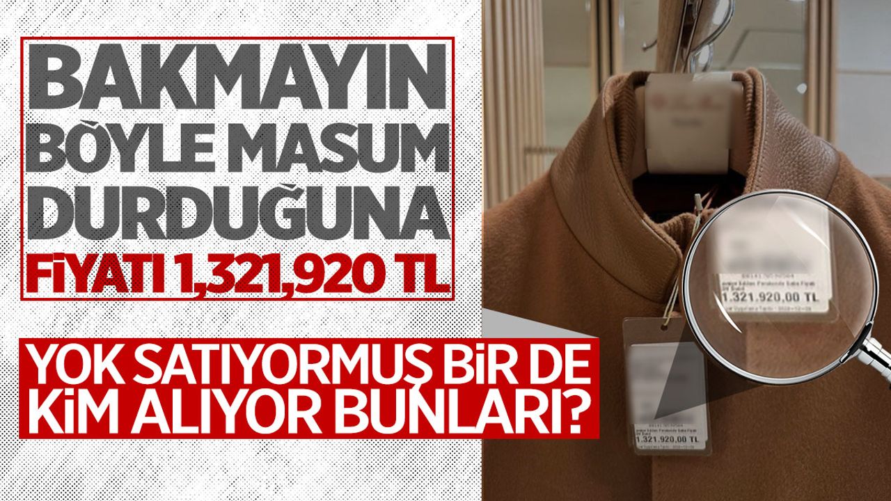 Türkiye’de milyonluk kaban yok satıyor: Adet fiyatı 1 milyon 321 bin 902 TL
