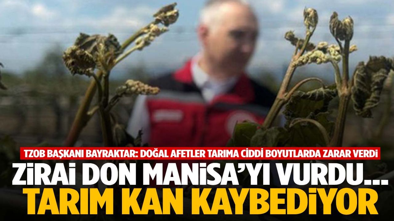Manisa’yı zirai don vurmuştu… Tarım sektörü ciddi zarar gördü! Üretici perişan…