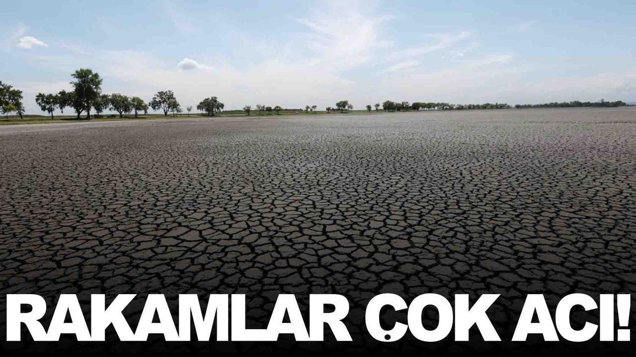 Manisa ve Ege’de 18 yılın en şiddetli kuraklığı yaşanıyor