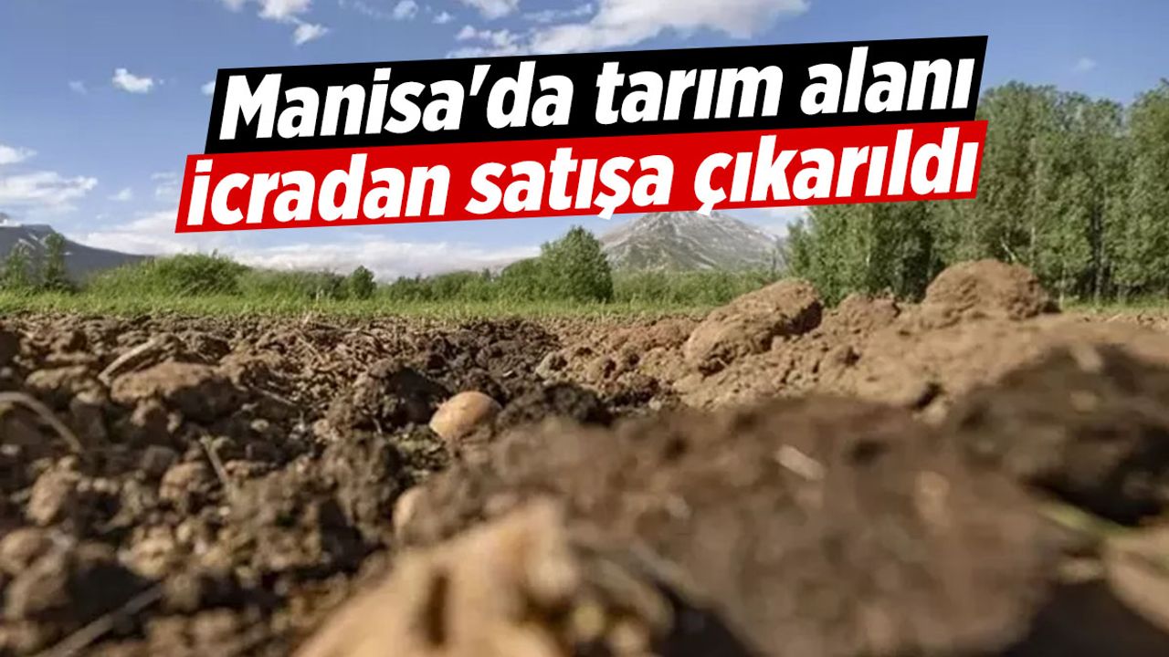 Manisa'da tarım alanı icradan satışa çıkarıldı