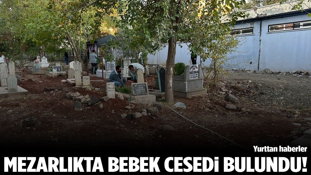 Mezarlıkta bebek cesedi bulundu