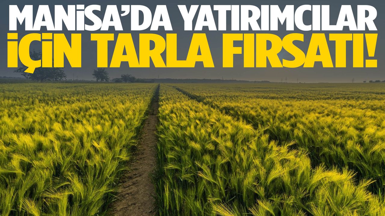 Manisa’da büyük fırsat! Tarla satışa çıkarıldı…