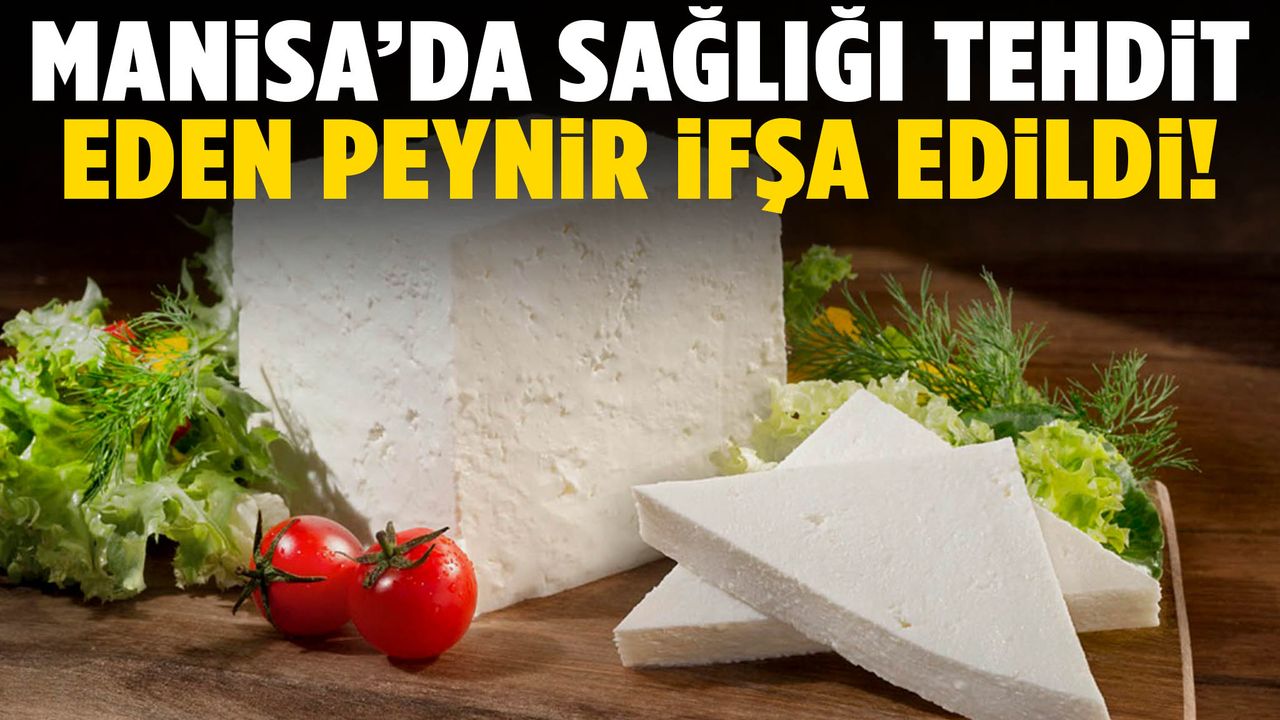 Manisa'da sağlığı tehdit eden peynir ifşa edildi!