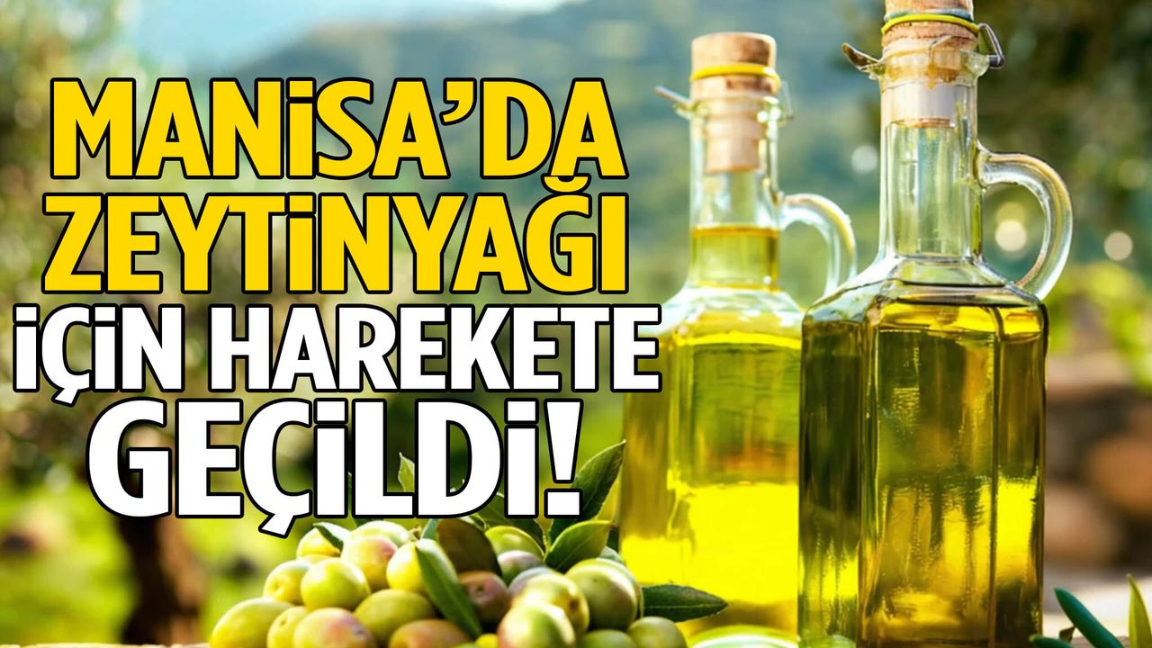 Manisa’da zeytinyağı için harekete geçildi!