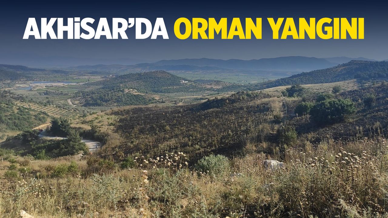 Akhisar'da orman yangını korkuttu!