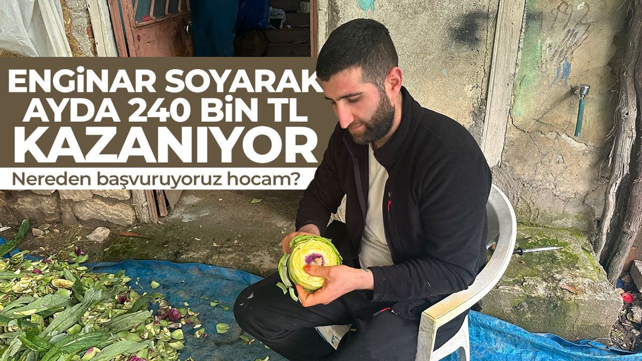 Enginar soyarak ayda 240 bin TL kazanıyor