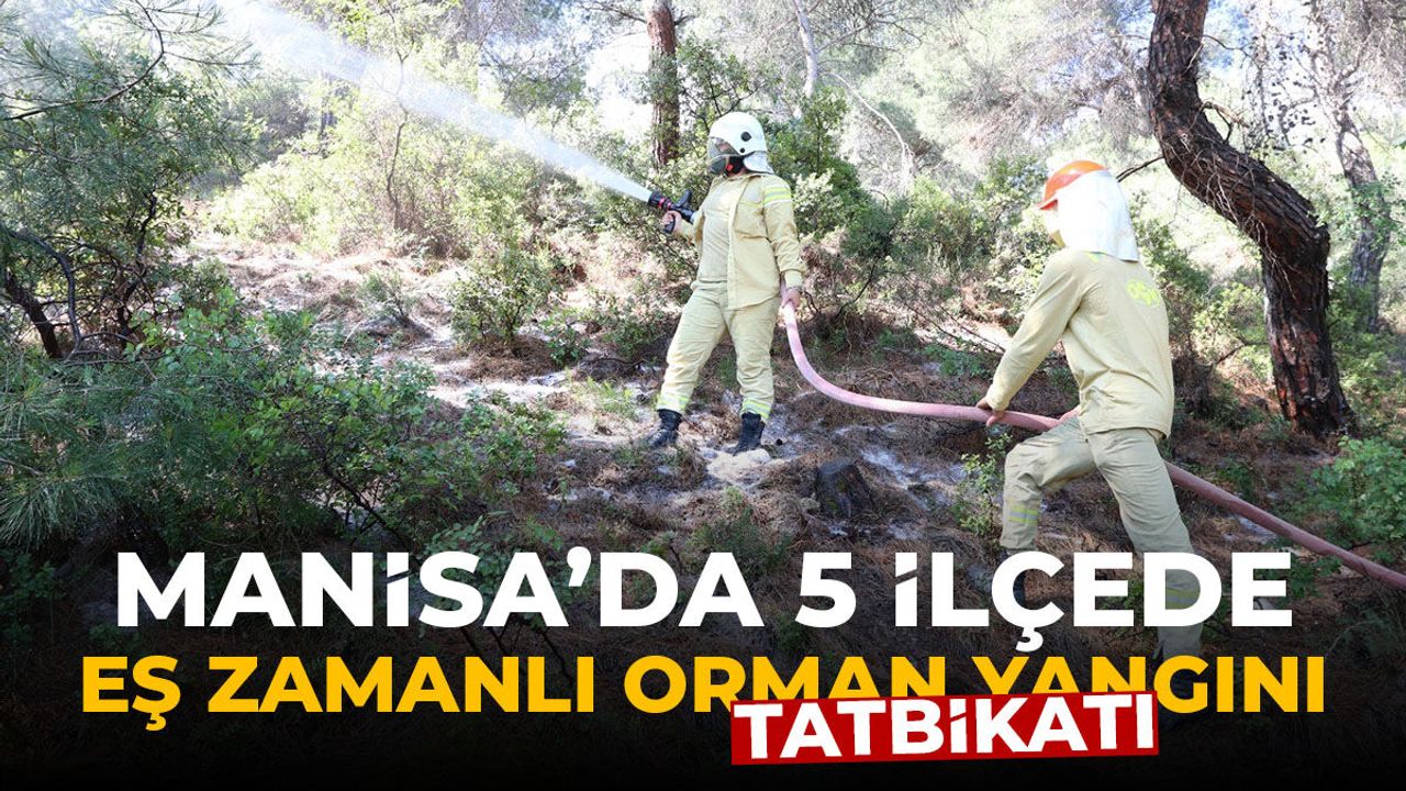 Manisa orman yangınlarına hazırlanıyor!