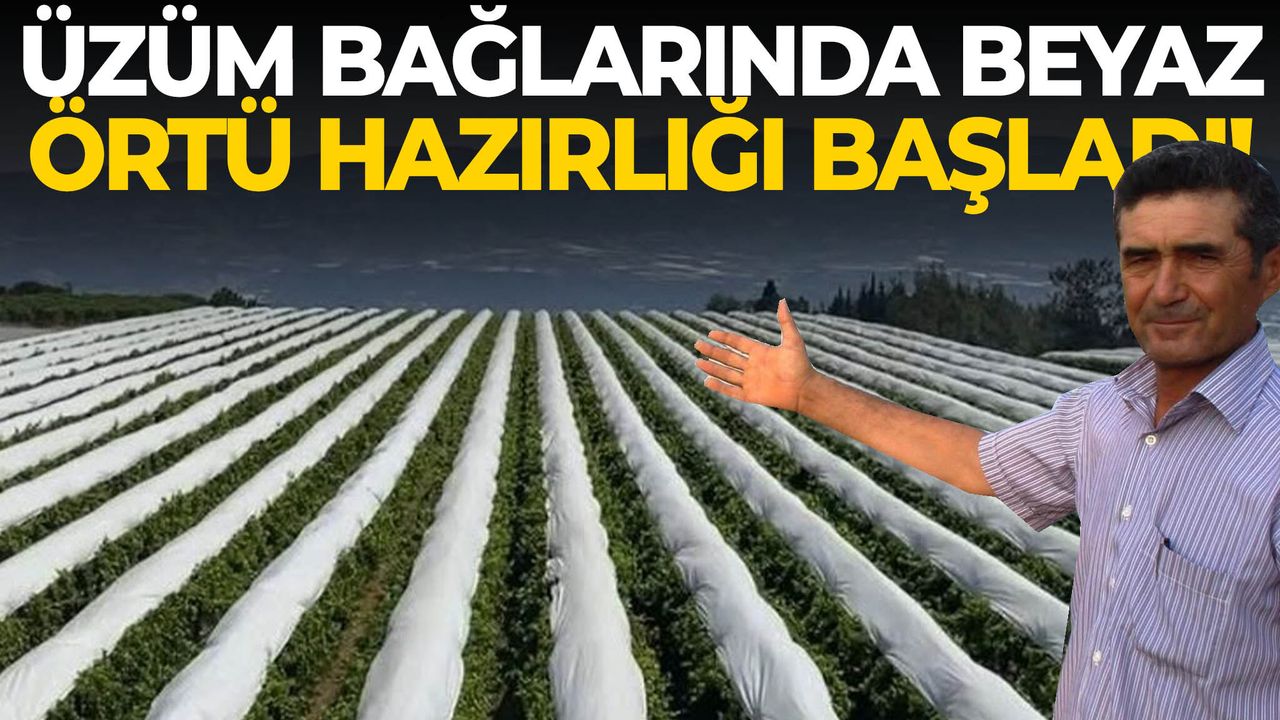 Üzüm bağlarında beyaz örtü hazırlığı başladı!