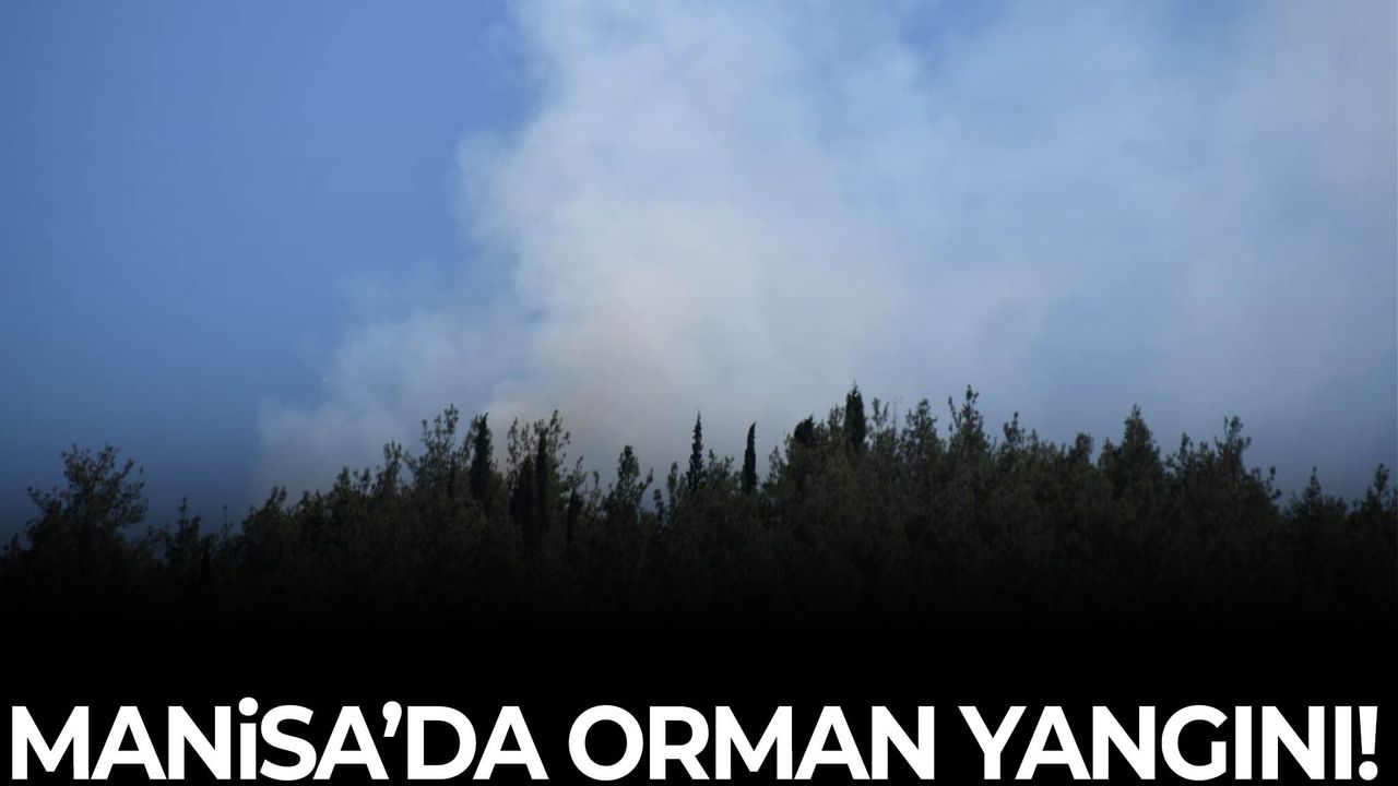Manisa’da ormanlık alanda yangın çıktı!