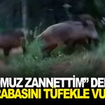 “Domuz zannettim” dediği akrabasını tüfekle vurdu!