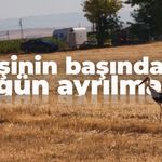 Günün duygulandıran haberi... Eşinin başından 5 gün boyunca ayrılmadı