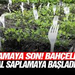 İlaçlamaya son! Bahçelerine çatal saplamaya başladılar