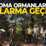 Soma ormanlarında alarma geçildi