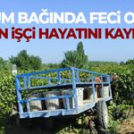 Üzüm bağında acı olay! Kadın işçi hayatını kaybetti