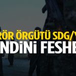 Terör örgütü SDG/YPG kendini feshetti