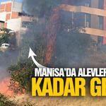 Manisa'da alevler evlere kadar geldi!
