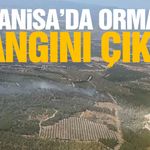 Manisa'da orman yangını çıktı! Kriz merkezi görevde