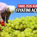 TARİŞ 2026 kuru üzüm alım fiyatını açıkladı!
