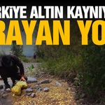 Türkiye altın kaynıyor! Arayan yok... Günde 5 gram çıkıyor!