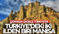 Dünyada sadece Türkiye'de görülüyor... Türkiye'deki iki ilden biri Manisa!