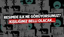 Herkesin cevabı farklı: Resimde ilk ne görüyorsunuz? Kişiliğiniz belli olacak...