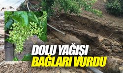 Alaşehir’de bağları, meyve ve sebze bahçelerini dolu vurdu