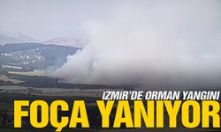 Foça’da orman yangını